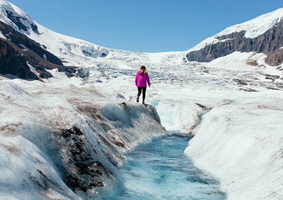 Alaskahelicoptertours Grand Homer Glacires And Waterfalls Slider Icefields