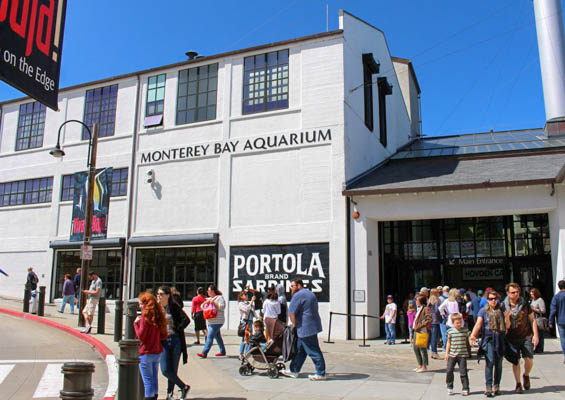 Originalmotereywwalikingtours Montery Waterfont And Cannery Row Waliking Tours Slider Aquarium