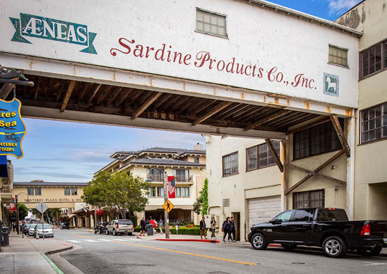 Originalmotereywwalikingtours Montery Waterfont And Cannery Row Waliking Tours Slider Downtown